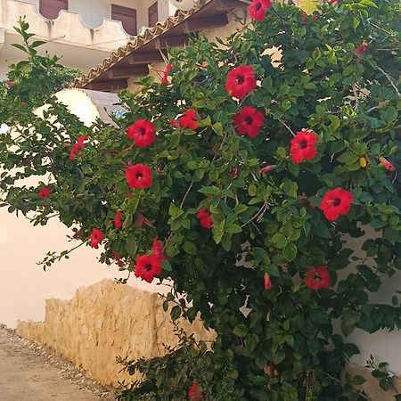 Al Faro Bed & Breakfast เรอัลมอนเต ภายนอก รูปภาพ